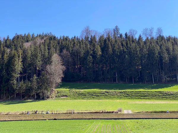 Natural landscape with early spring pastures and mixed forests on the glades and hills around natural protection area Hagimoos, Kottwil - Canton of Lucerne, Switzerland (Schweiz)