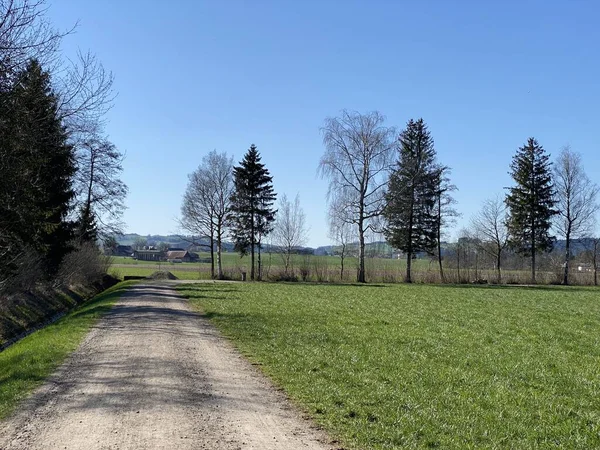 Senderos Paseos Largo Del Área Protección Natural Wauwilermoos Naturschutzgebiet Wauwilermoos — Foto de Stock