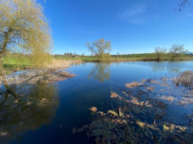 Egolzwilersee Gölü veya Egolzwiler Gölü, Egolzwil - İsviçre Lucerne Kantonu (Schweiz)