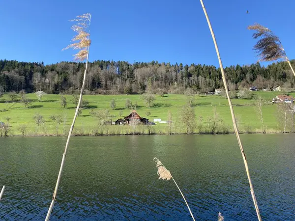 Late Winter Early Spring Beautiful Small Lake Egolzwilersee Lake Egolzwiler — Stock Photo, Image