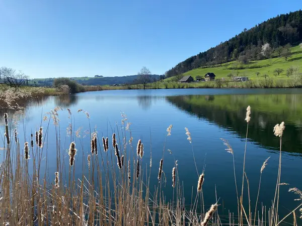 Late Winter Early Spring Beautiful Small Lake Egolzwilersee Lake Egolzwiler — Stock Photo, Image