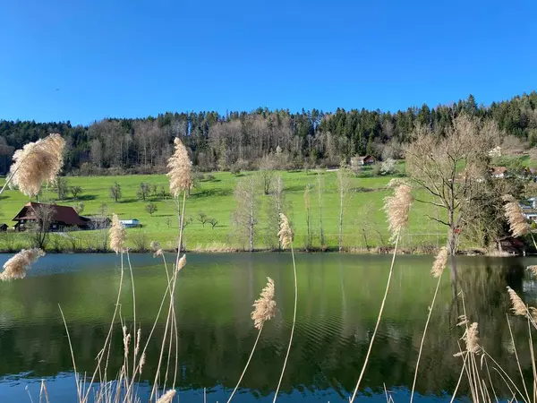 美しい小さな湖EgolzwilerseeまたはEgolzwiler湖 Egolzwilの晩冬と早春 スイスのルツェルン州 スイス — ストック写真