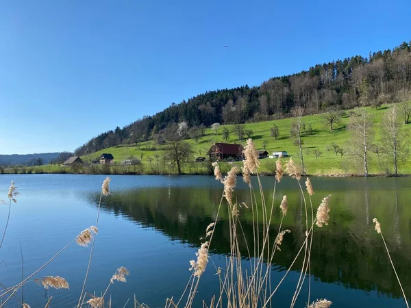 Egolzwilersee Gölü Veya Egolzwiler Gölü Egolzwil Sviçre Lucerne Kantonu Schweiz — Stok fotoğraf