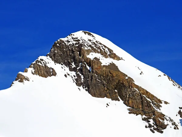 Snowy Alpejski Szczyt Oldenhorn Oldehore Lub Becca Audon Położony Masywie — Zdjęcie stockowe