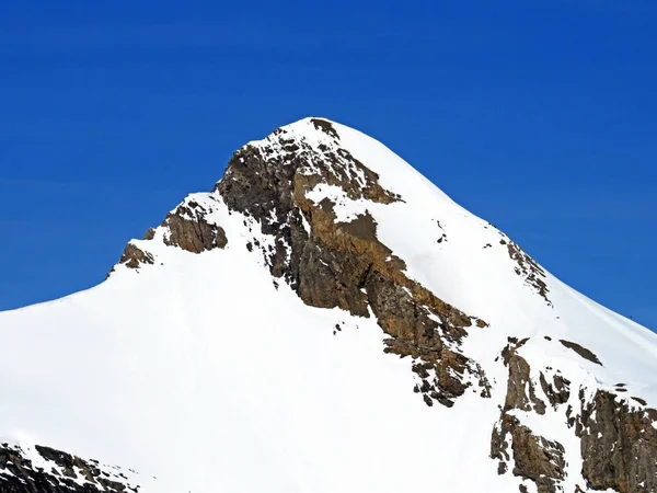 Cima Alpina Innevata Oldenhorn Oldehore Becca Audon Situata Massiccio Montano — Foto Stock