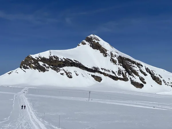 Havas Alpesi Hegycsúcs Oldenhorn Oldehore Vagy Becca Audon Található Hegytömegben — Stock Fotó