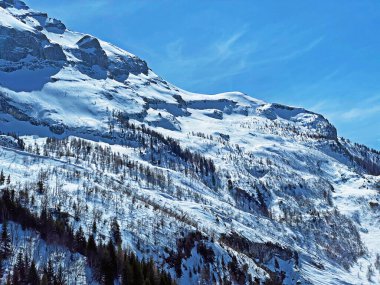 İsviçre 'nin Vaud Kantonu' nda (Suisse) bulunan Les Diablerets 'in bir kitlesinde Alp Dağı' nın yamaçlarında taze bahar karı ve kayak izleri.)