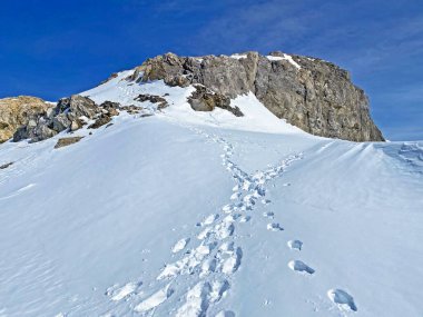 Glacier du Sex Rouge bölgesindeki taze alp karlarının üzerinde resim gibi bahar izleri (yolculuk hedefi Buzul 3000), Les Diablerets - Vaud Kantonu, İsviçre (Suisse)