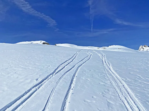 瑞士沃州Les Diablerets 红色冰川地区 旅游目的地冰川3000 新鲜高山雪地上的风景如画的春天小径 — 图库照片