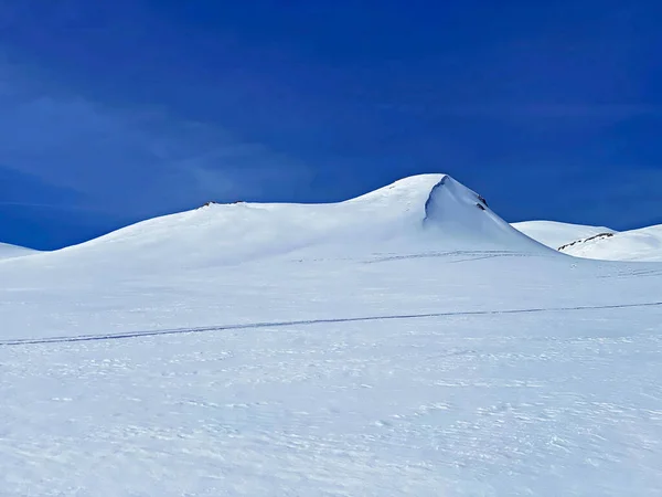 Bella Neve Alpina Fresca Pulita Primaverile Nella Zona Del Glacier — Foto Stock