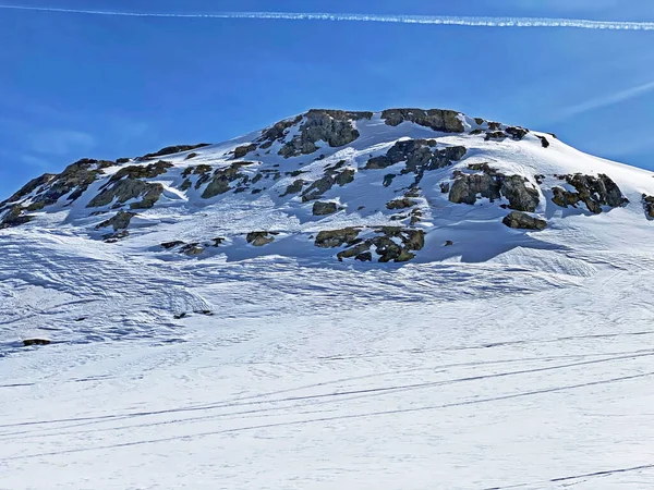 Όμορφο Φρέσκο Και Καθαρό Ανοιξιάτικο Αλπικό Χιόνι Στην Περιοχή Glacier — Φωτογραφία Αρχείου