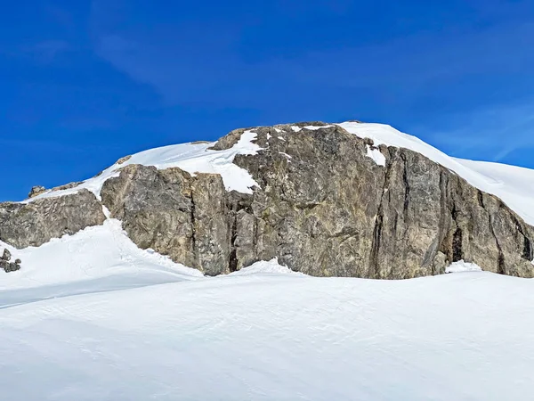 Όμορφο Φρέσκο Και Καθαρό Ανοιξιάτικο Αλπικό Χιόνι Στην Περιοχή Glacier — Φωτογραφία Αρχείου
