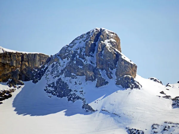 Snowy Alpejski Szczyt Mont Brun Masywie Alp Berneńskich Widziany Lodowca — Zdjęcie stockowe