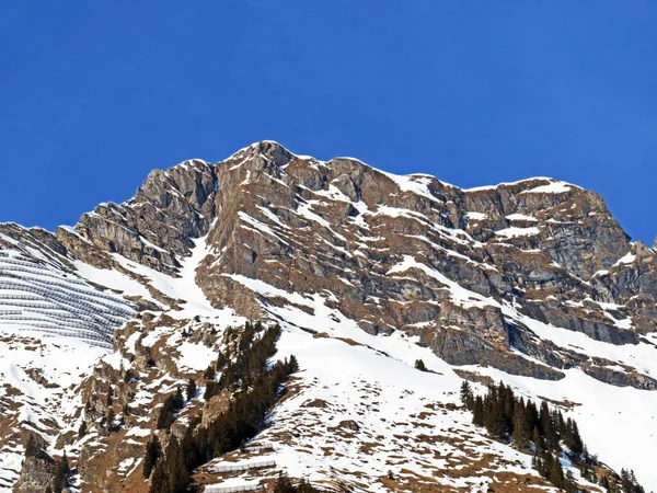Sněžný Alpský Vrchol Tarent Nachází Horském Masivu Bernských Alp Alpy — Stock fotografie