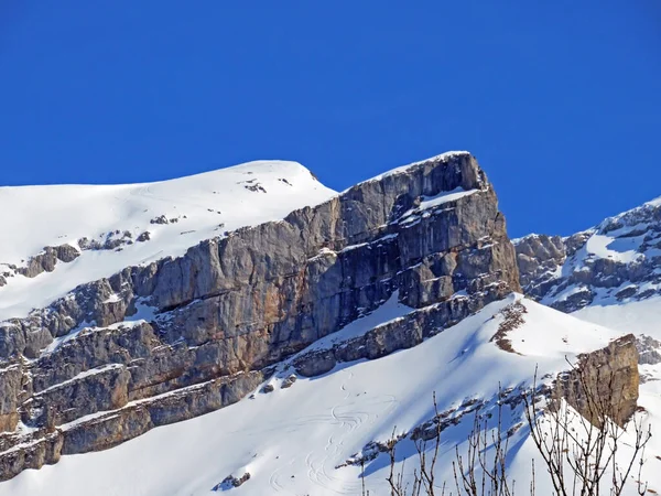 瑞士沃州Les Diablerets地块 从Les Diablerets定居点可以看到 的Le Dome高山雪峰和岩石峰 — 图库照片