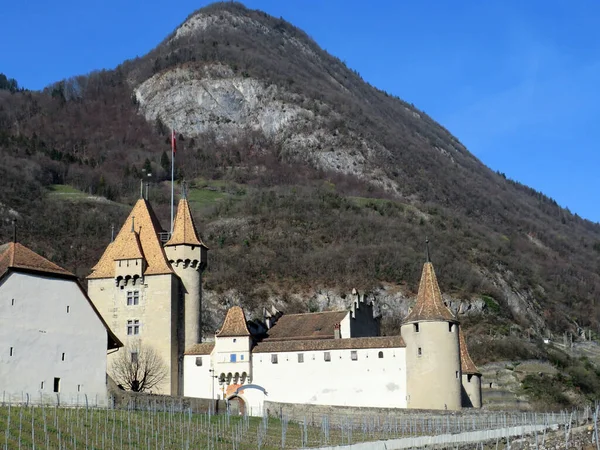 Castelo Aigle Chateau Daigle Adlerburg Vale Rio Ródano Ródano Assentamento — Fotografia de Stock