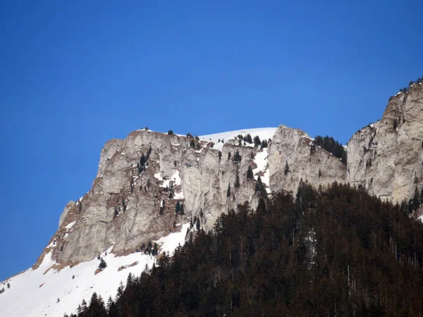 位于瑞士沃州 瑞士沃州沃州沃州阿尔卑斯山区地块 阿尔卑斯山谷 的雪山山峰Pointe Aveneyre — 图库照片