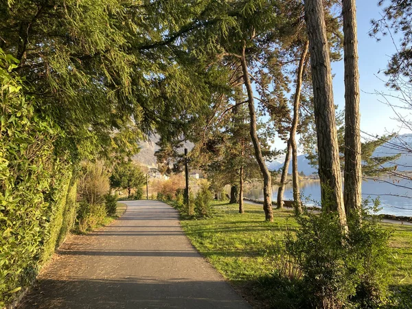 Taman Dan Promenade Hijau Pada Awal Musim Semi Sepanjang Pantai — Stok Foto