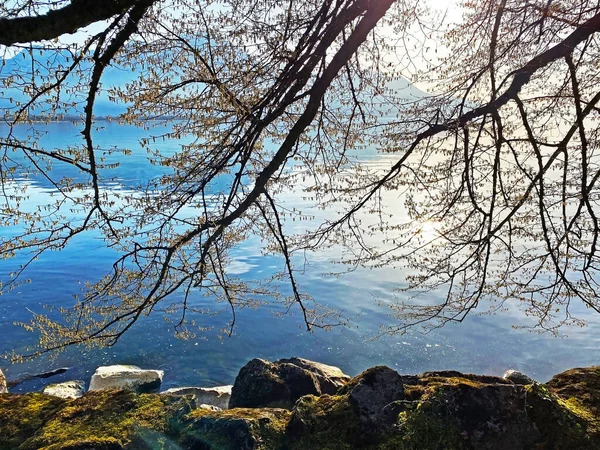 Późnym Wiosennym Popołudniem Nad Wschodnim Brzegiem Jeziora Genewskiego Lac Geneve — Zdjęcie stockowe