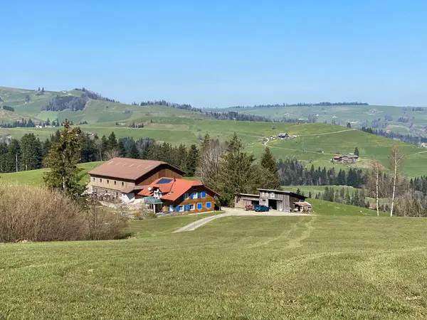 Antiguas Casas Tradicionales Arquitectura Rural Subalpina Típica Suiza Schwarzenberg Cantón —  Fotos de Stock