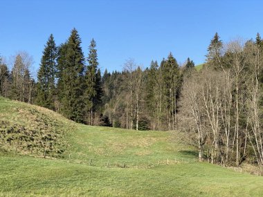 Baharın başlarında İsviçre dağ kütlesi Pilatus 'un yamaçlarında bulunan Subalpine çayırlar ve çiftlik hayvanları otlakları, Schwarzenberg LU - Lucerne Kantonu (Kanton Luzern), İsviçre (Schweiz)