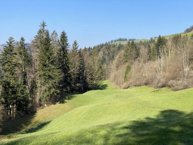 Baharın başlarında İsviçre dağ kütlesi Pilatus 'un yamaçlarında bulunan Subalpine çayırlar ve çiftlik hayvanları otlakları, Schwarzenberg LU - Lucerne Kantonu (Kanton Luzern), İsviçre (Schweiz)