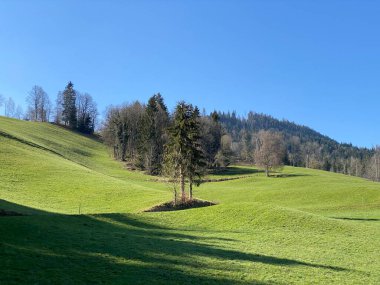 Baharın başlarında İsviçre dağ kütlesi Pilatus 'un yamaçlarında bulunan Subalpine çayırlar ve çiftlik hayvanları otlakları, Schwarzenberg LU - Lucerne Kantonu (Kanton Luzern), İsviçre (Schweiz)