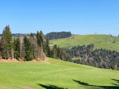 Baharın başlarında İsviçre dağ kütlesi Pilatus 'un yamaçlarında bulunan Subalpine çayırlar ve çiftlik hayvanları otlakları, Schwarzenberg LU - Lucerne Kantonu (Kanton Luzern), İsviçre (Schweiz)