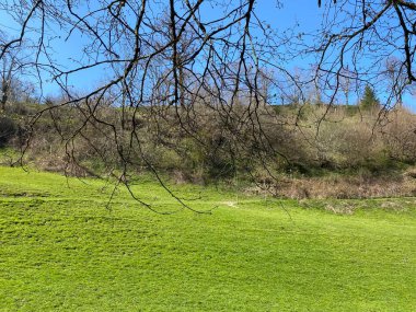 Baharın başlarında İsviçre dağ kütlesi Pilatus 'un yamaçlarında bulunan Subalpine çayırlar ve çiftlik hayvanları otlakları, Schwarzenberg LU - Lucerne Kantonu (Kanton Luzern), İsviçre (Schweiz)