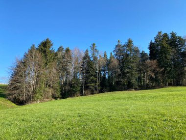 Baharın başlarında İsviçre dağ kütlesi Pilatus 'un yamaçlarında bulunan Subalpine çayırlar ve çiftlik hayvanları otlakları, Schwarzenberg LU - Lucerne Kantonu (Kanton Luzern), İsviçre (Schweiz)