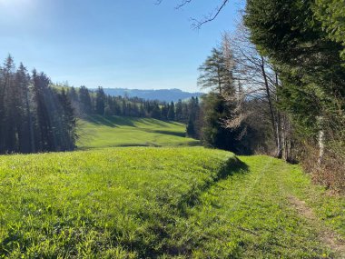 Baharın başlarında İsviçre dağ kütlesi Pilatus 'un yamaçlarında bulunan Subalpine çayırlar ve çiftlik hayvanları otlakları, Schwarzenberg LU - Lucerne Kantonu (Kanton Luzern), İsviçre (Schweiz)