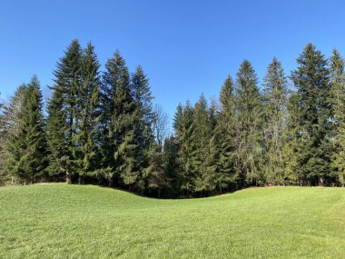 İsviçre dağ kütlesi Pilatus, Schwarzenberg LU - Lucerne Kantonu (Kanton Luzern), İsviçre (Schweiz)