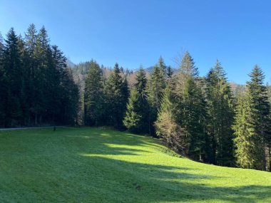 İsviçre dağ kütlesi Pilatus, Schwarzenberg LU - Lucerne Kantonu (Kanton Luzern), İsviçre (Schweiz)