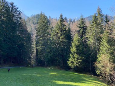 İsviçre dağ kütlesi Pilatus, Schwarzenberg LU - Lucerne Kantonu (Kanton Luzern), İsviçre (Schweiz)