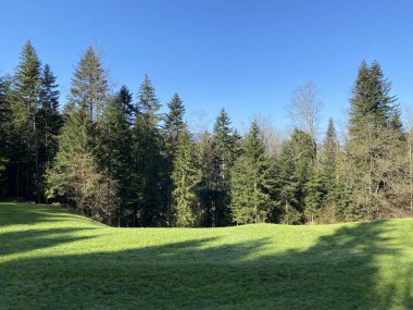 İsviçre dağ kütlesi Pilatus, Schwarzenberg LU - Lucerne Kantonu (Kanton Luzern), İsviçre (Schweiz)