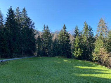 İsviçre dağ kütlesi Pilatus, Schwarzenberg LU - Lucerne Kantonu (Kanton Luzern), İsviçre (Schweiz)