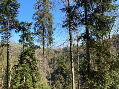 İsviçre dağ kütlesi Pilatus, Schwarzenberg LU - Lucerne Kantonu (Kanton Luzern), İsviçre (Schweiz)