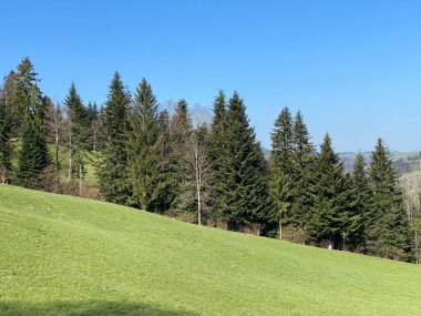 İsviçre dağ kütlesi Pilatus, Schwarzenberg LU - Lucerne Kantonu (Kanton Luzern), İsviçre (Schweiz)