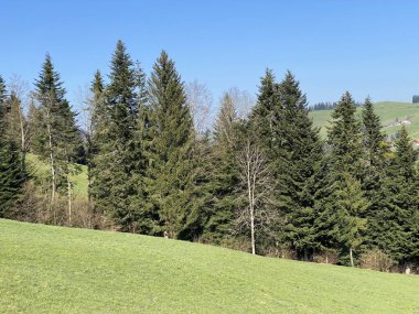 İsviçre dağ kütlesi Pilatus, Schwarzenberg LU - Lucerne Kantonu (Kanton Luzern), İsviçre (Schweiz)