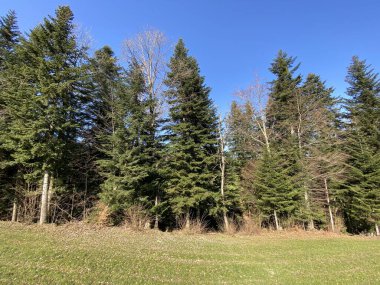 İsviçre dağ kütlesi Pilatus, Schwarzenberg LU - Lucerne Kantonu (Kanton Luzern), İsviçre (Schweiz)