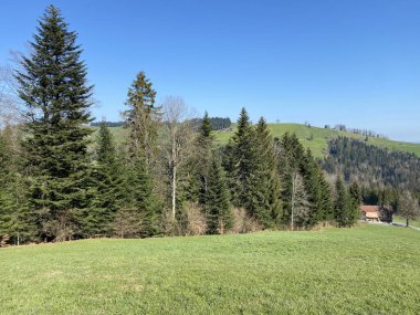İsviçre dağ kütlesi Pilatus, Schwarzenberg LU - Lucerne Kantonu (Kanton Luzern), İsviçre (Schweiz)