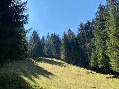 İsviçre dağ kütlesi Pilatus, Schwarzenberg LU - Lucerne Kantonu (Kanton Luzern), İsviçre (Schweiz)
