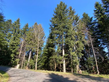 İsviçre dağ kütlesi Pilatus, Schwarzenberg LU - Lucerne Kantonu (Kanton Luzern), İsviçre (Schweiz)