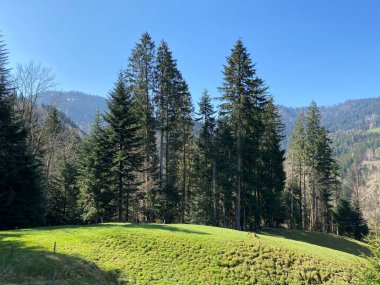 İsviçre dağ kütlesi Pilatus, Schwarzenberg LU - Lucerne Kantonu (Kanton Luzern), İsviçre (Schweiz)