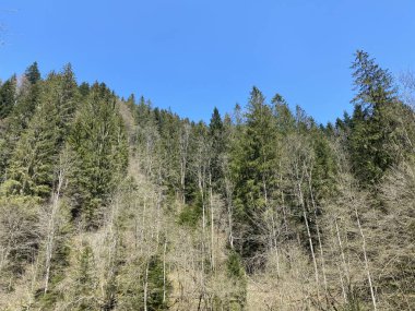 İsviçre dağ kütlesi Pilatus, Schwarzenberg LU - Lucerne Kantonu (Kanton Luzern), İsviçre (Schweiz)
