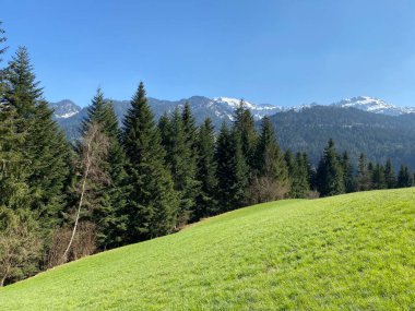 İsviçre dağ kütlesi Pilatus, Schwarzenberg LU - Lucerne Kantonu (Kanton Luzern), İsviçre (Schweiz)