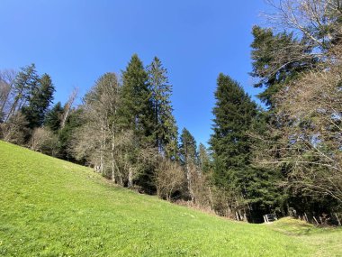 İsviçre dağ kütlesi Pilatus, Schwarzenberg LU - Lucerne Kantonu (Kanton Luzern), İsviçre (Schweiz)