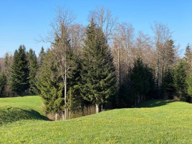 İsviçre dağ kütlesi Pilatus, Schwarzenberg LU - Lucerne Kantonu (Kanton Luzern), İsviçre (Schweiz)