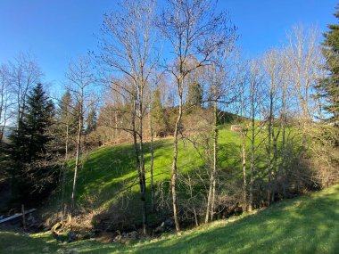 İsviçre dağ kütlesi Pilatus, Schwarzenberg LU - Lucerne Kantonu (Kanton Luzern), İsviçre (Schweiz)