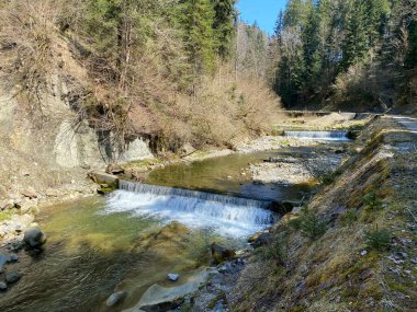 Pilatus dağ kütlesinin kuzey yamaçlarındaki bir orman vadisinde bulunan Ruemlig ya da Rumlig Nehri, Schwarzenberg LU - Lucerne Kantonu (Kanton Luzern), İsviçre